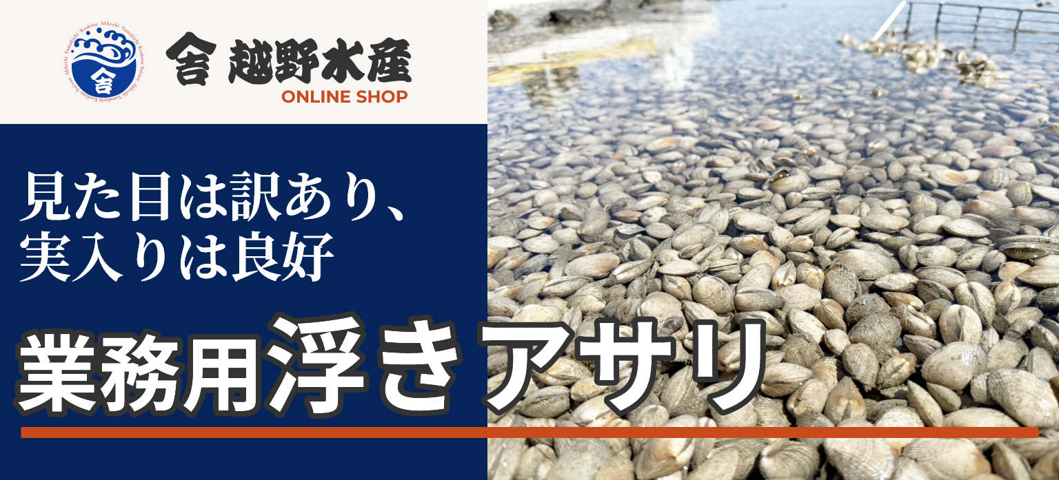 業務用浮きアサリ お問い合わせ受付中